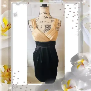 Alyn Paige New York Dress