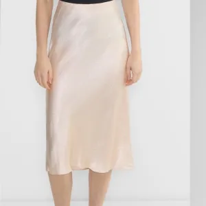 Aritzia Slip Satin Midi Skirt