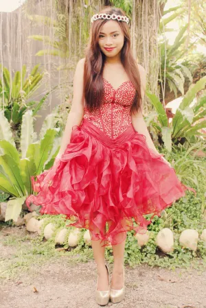 Ball Gown Sweetheart Knee Length Organza Beaded Prom Dress