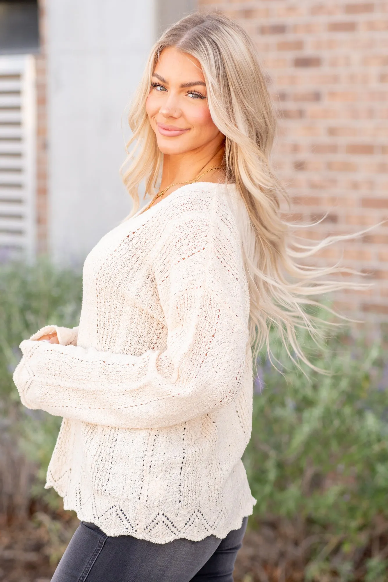 Celeste Eyelet V Neck Knitting Sweater - Cream