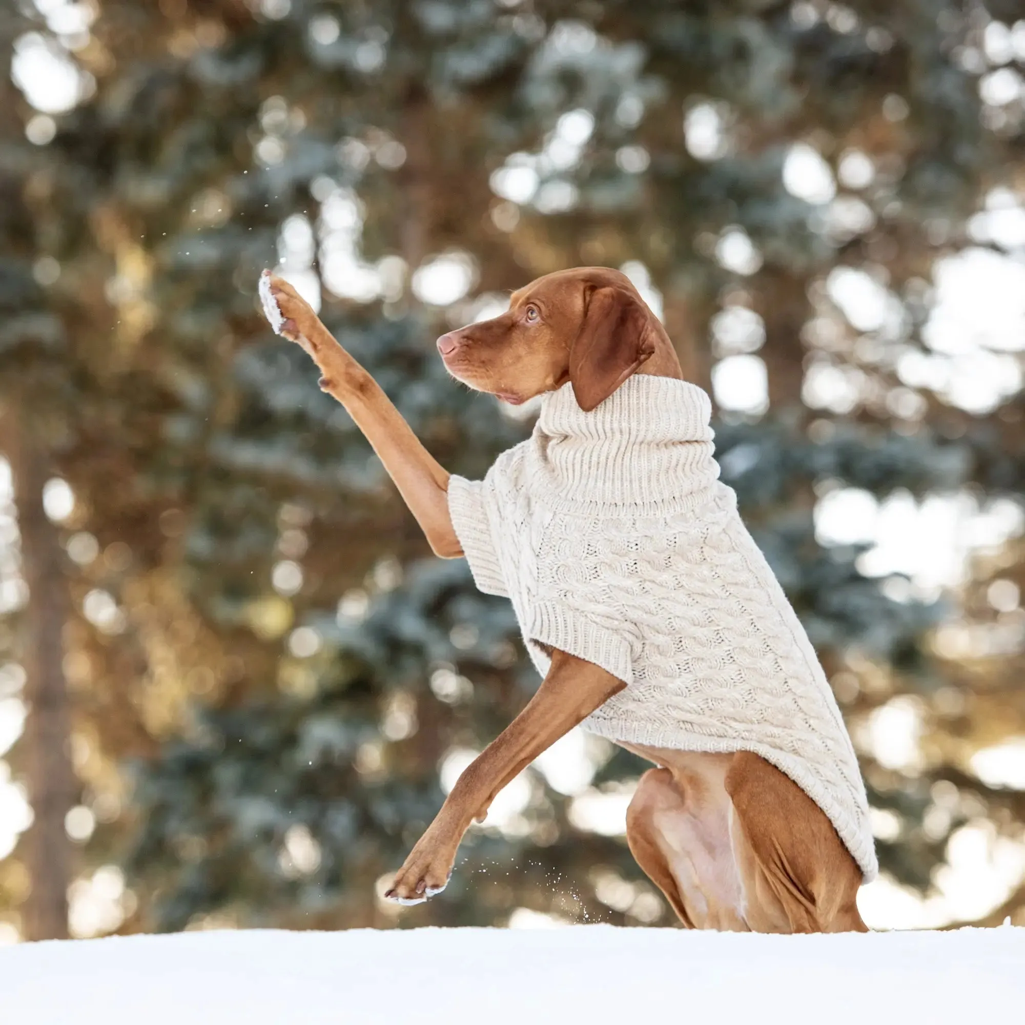 Chalet Dog Sweater | Oatmeal Mix