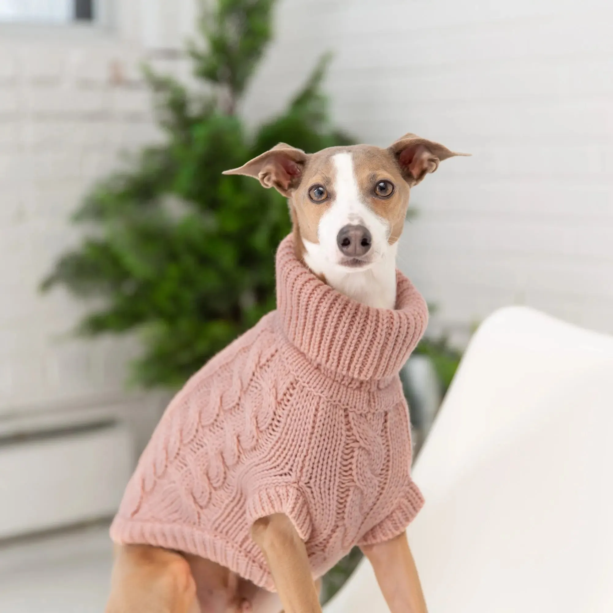 Chalet Dog Sweater | Pink