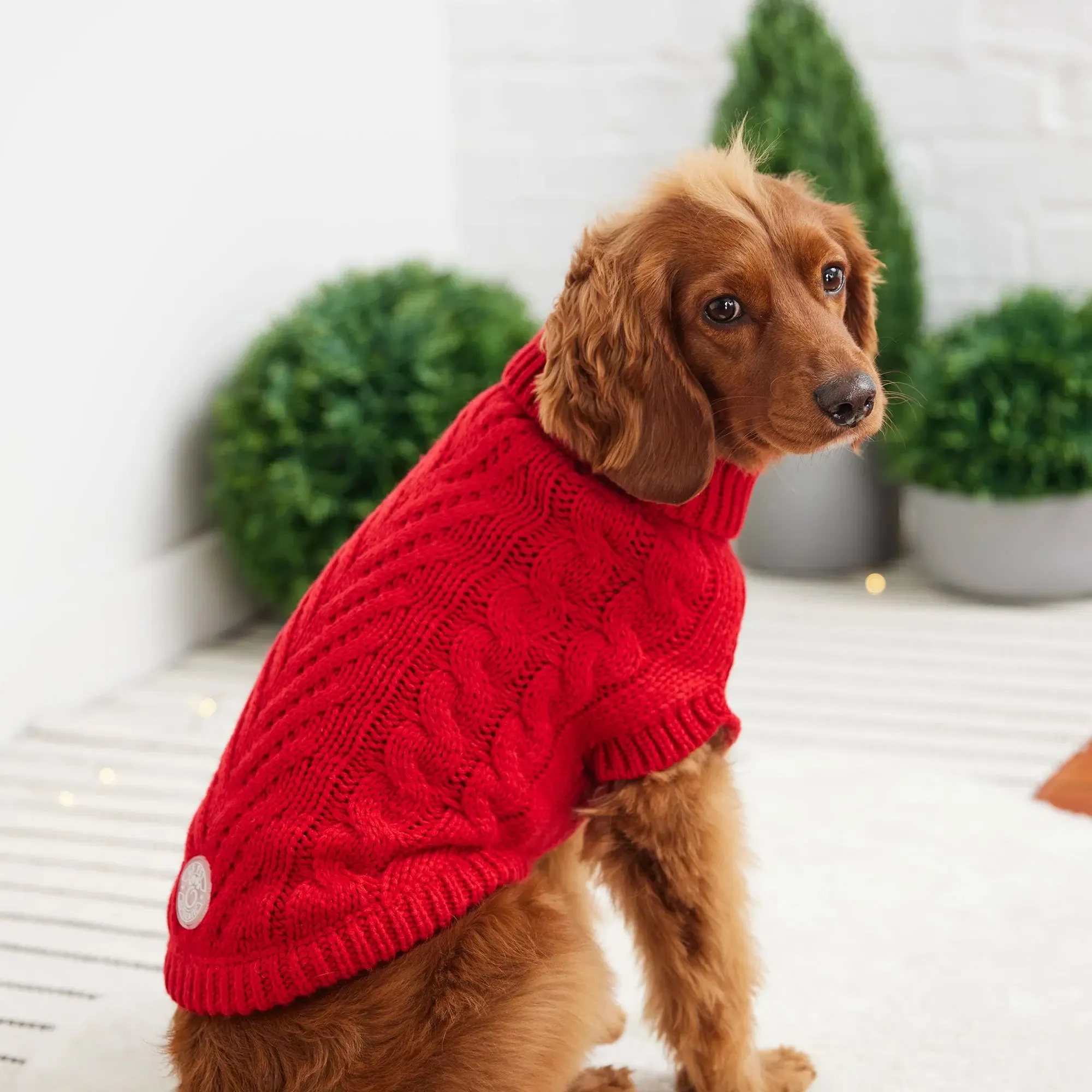 Chalet Dog Sweater | Red