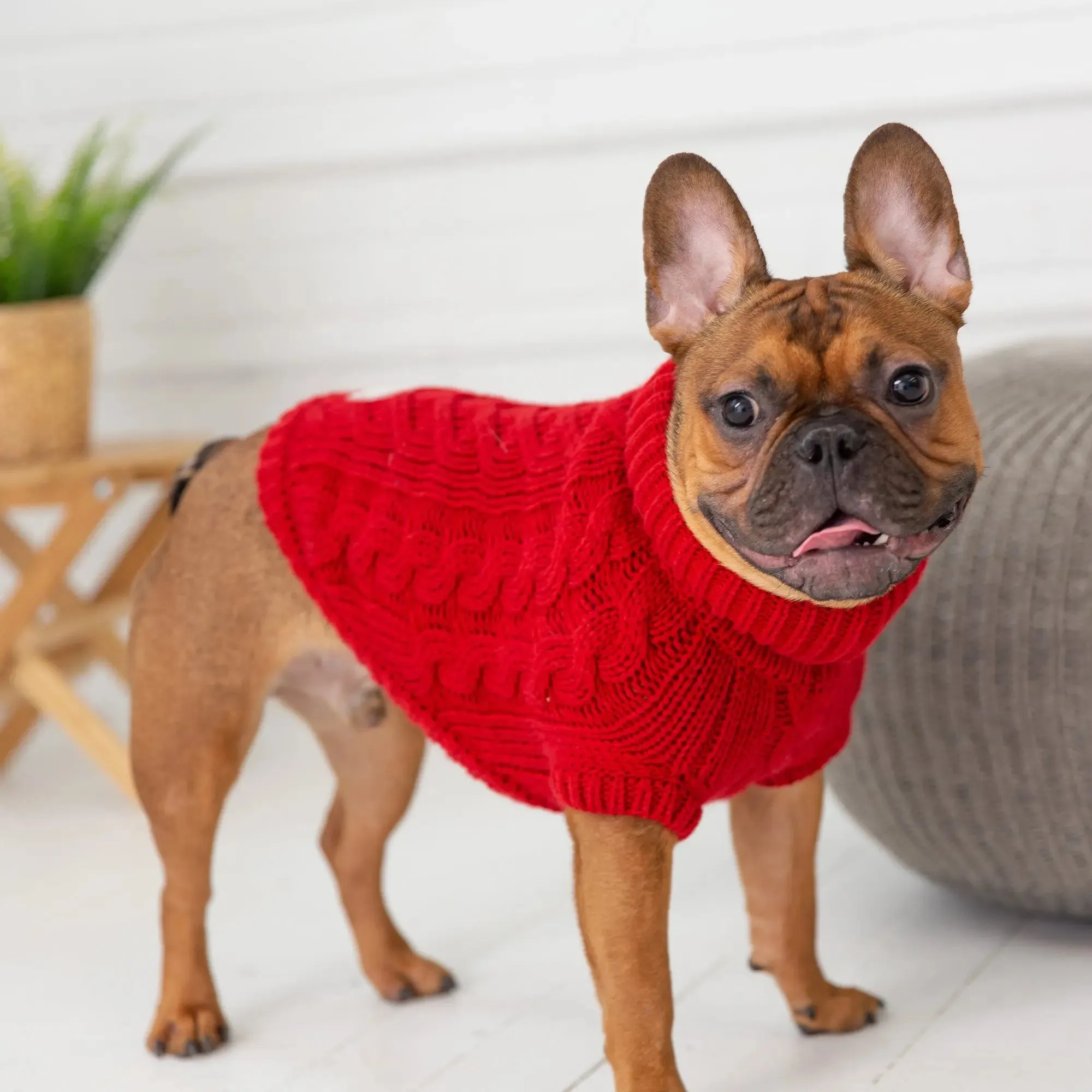 Chalet Dog Sweater | Red