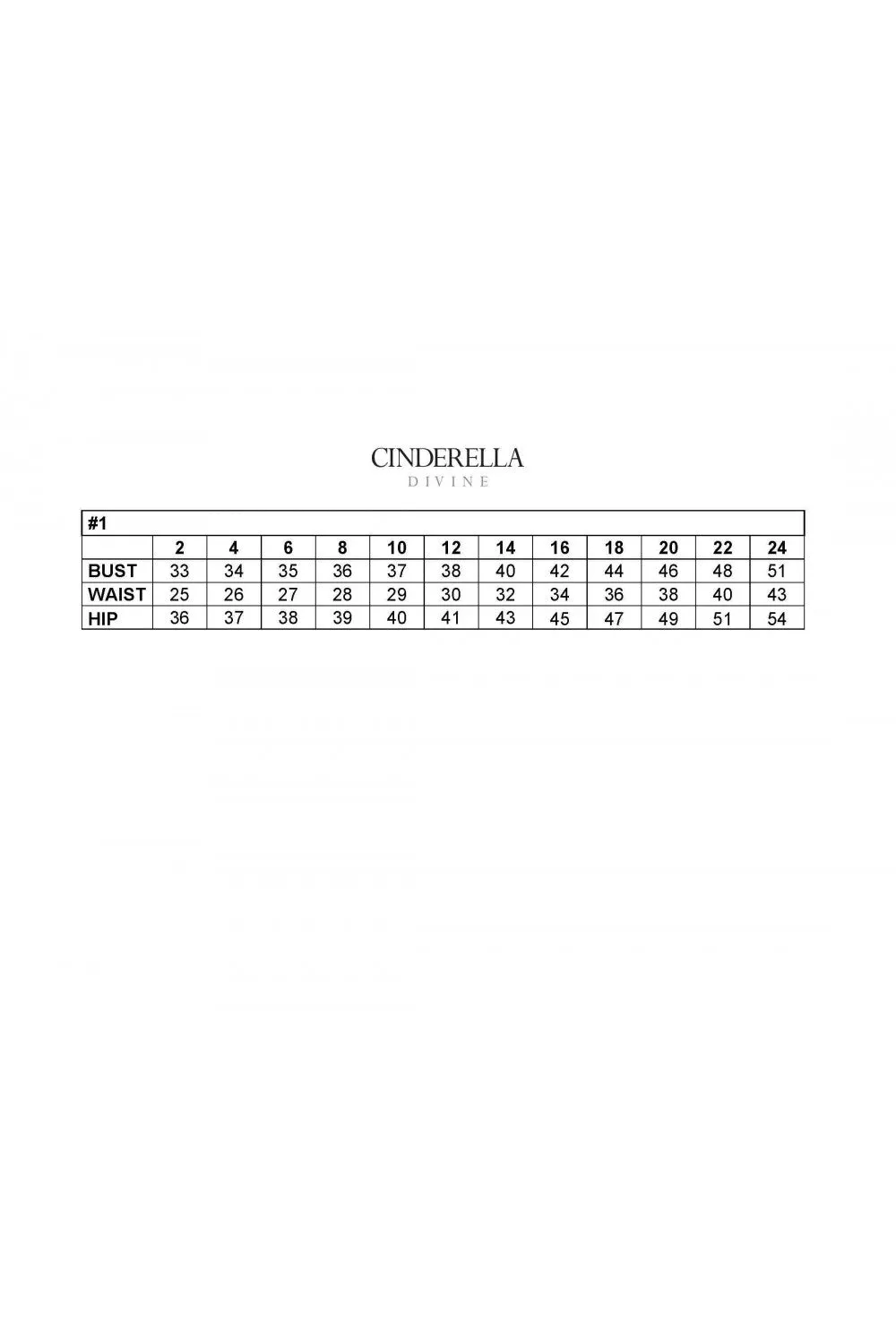 Cinderella Evening Dress CD983C