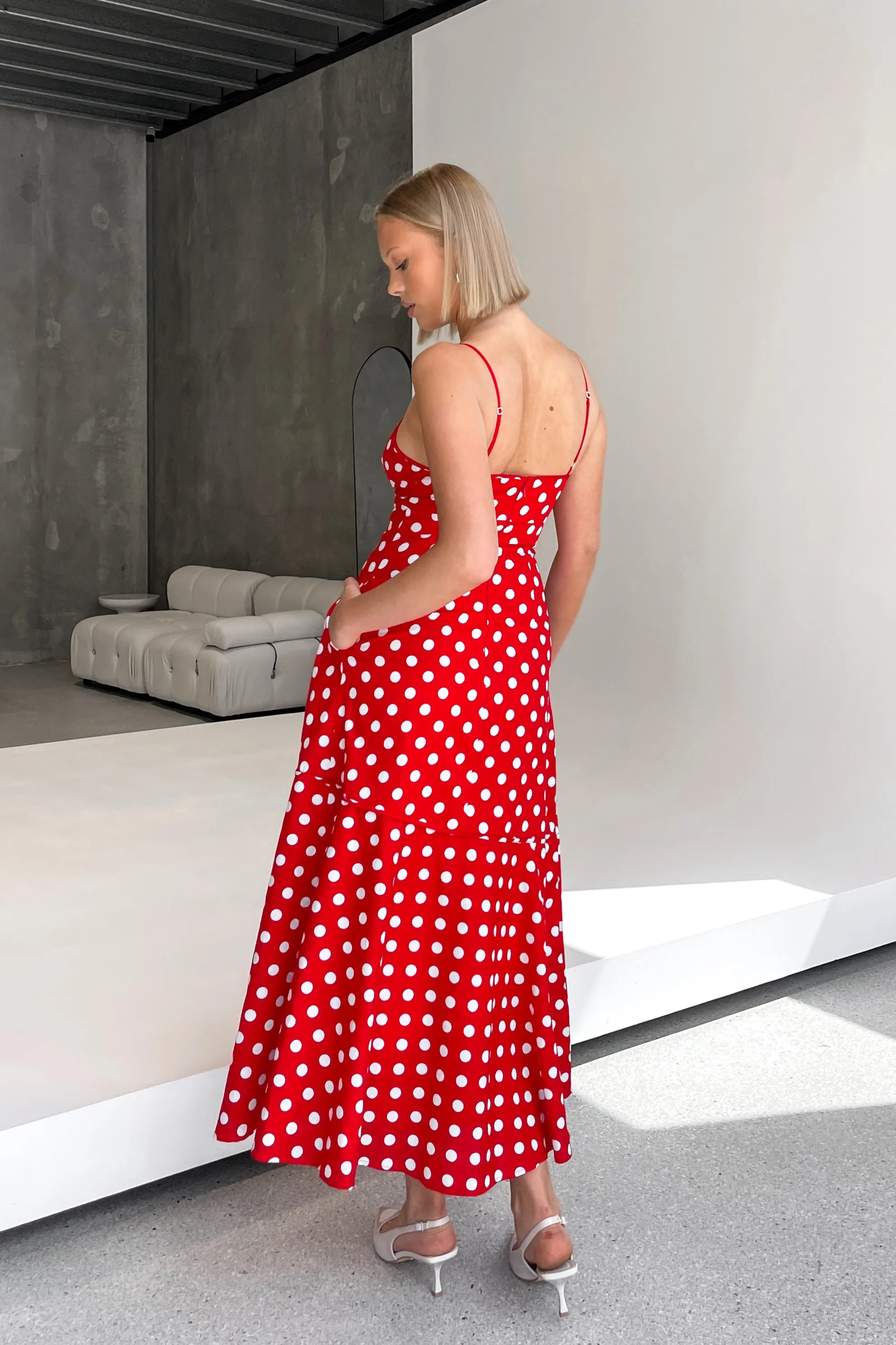 Ladybug Dress