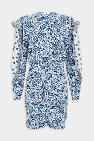 Lexini Dress in Blue
