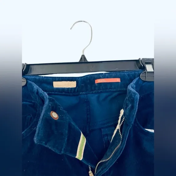 NWOT! Anthropologie Pilcro Blue High-Rise Corduroy Skinny Stretch Jeans Size 30