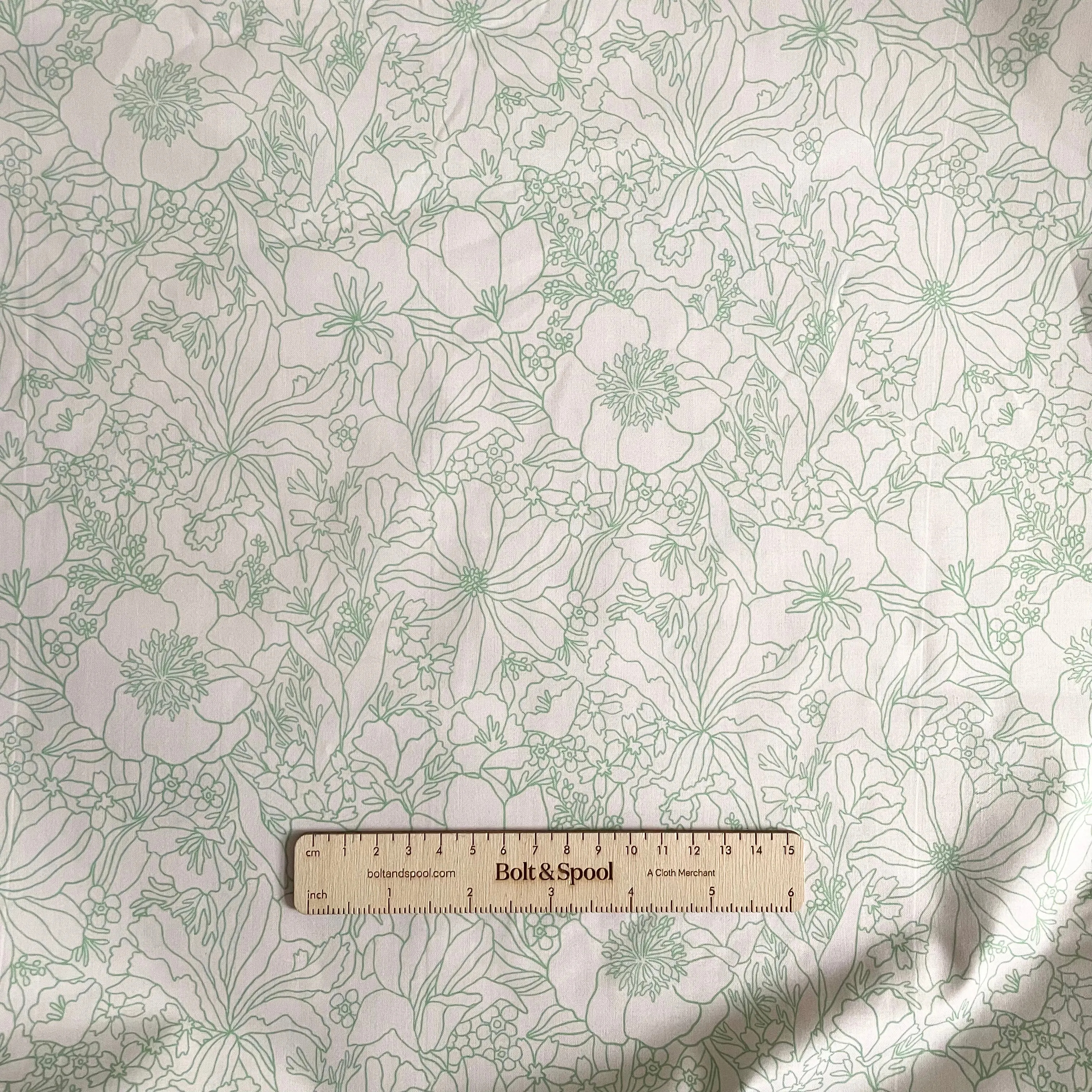Paintbrush Studio : Sunday Morning - green